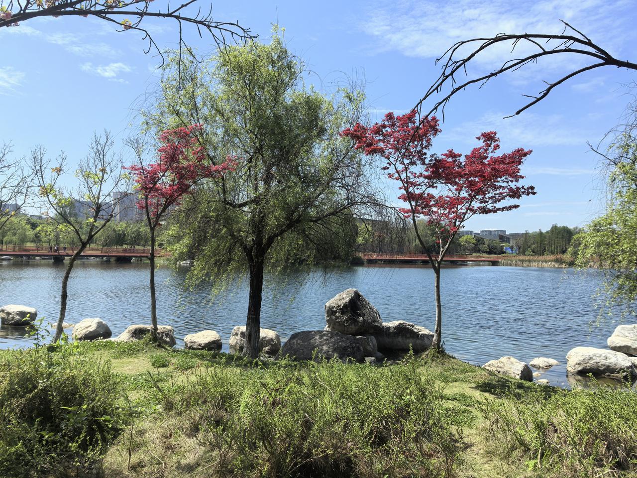 据央视驻德黑兰记者李健南前方发回的报道：一艘驱逐舰从阿联酋出发，驶向霍尔木兹海峡