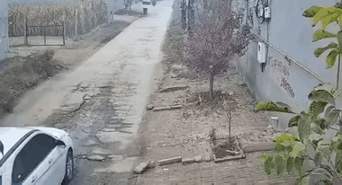 看来，开车双手要扶好方向盘，要不然就。。。