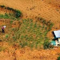 破解农村土地荒芜难题，激活乡村发展活力

当前，农村大量土地荒芜无人耕种的现象令