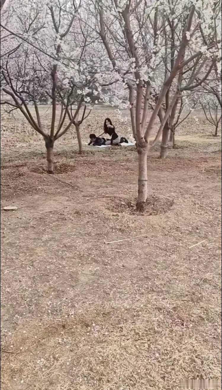景阳岗大战老虎精！ 