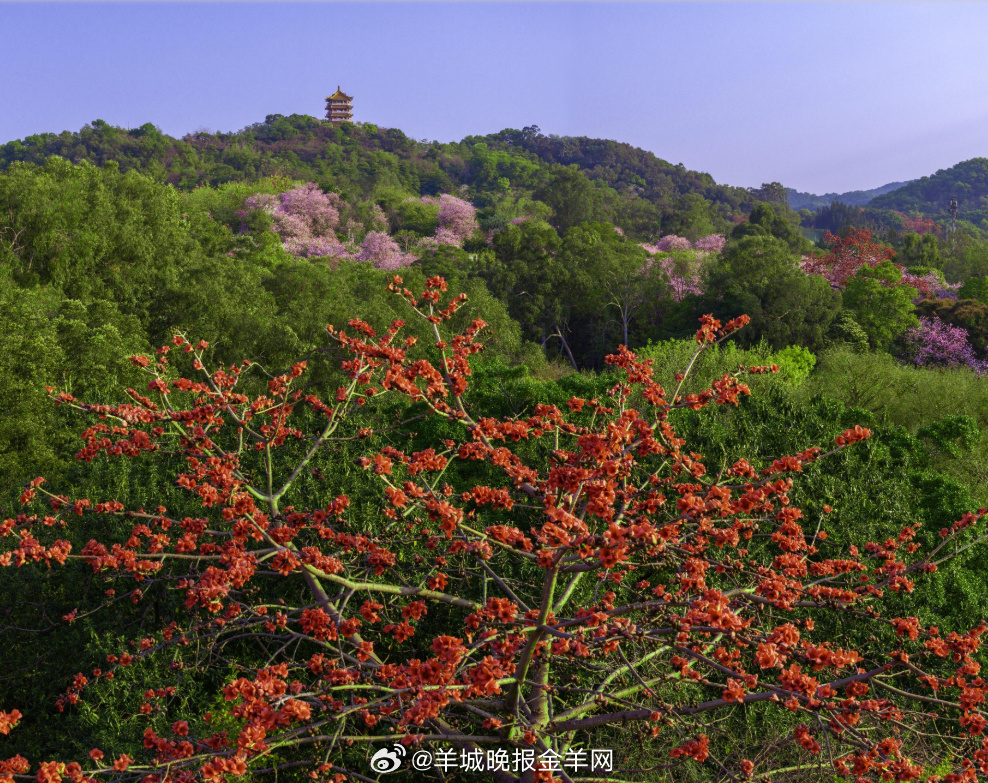 #晚安#【活出诗意人生】生活简单精致，吃好睡香，有人念想，有事期待。随心随喜，晚