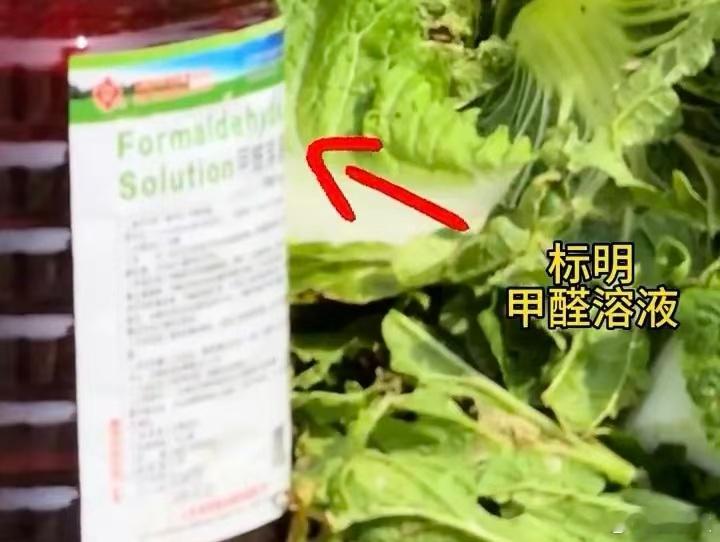 甲醛白菜监管不能总靠暗访爱吃大白菜的老百姓，听到了最不愿意听到的消息：白菜的天也