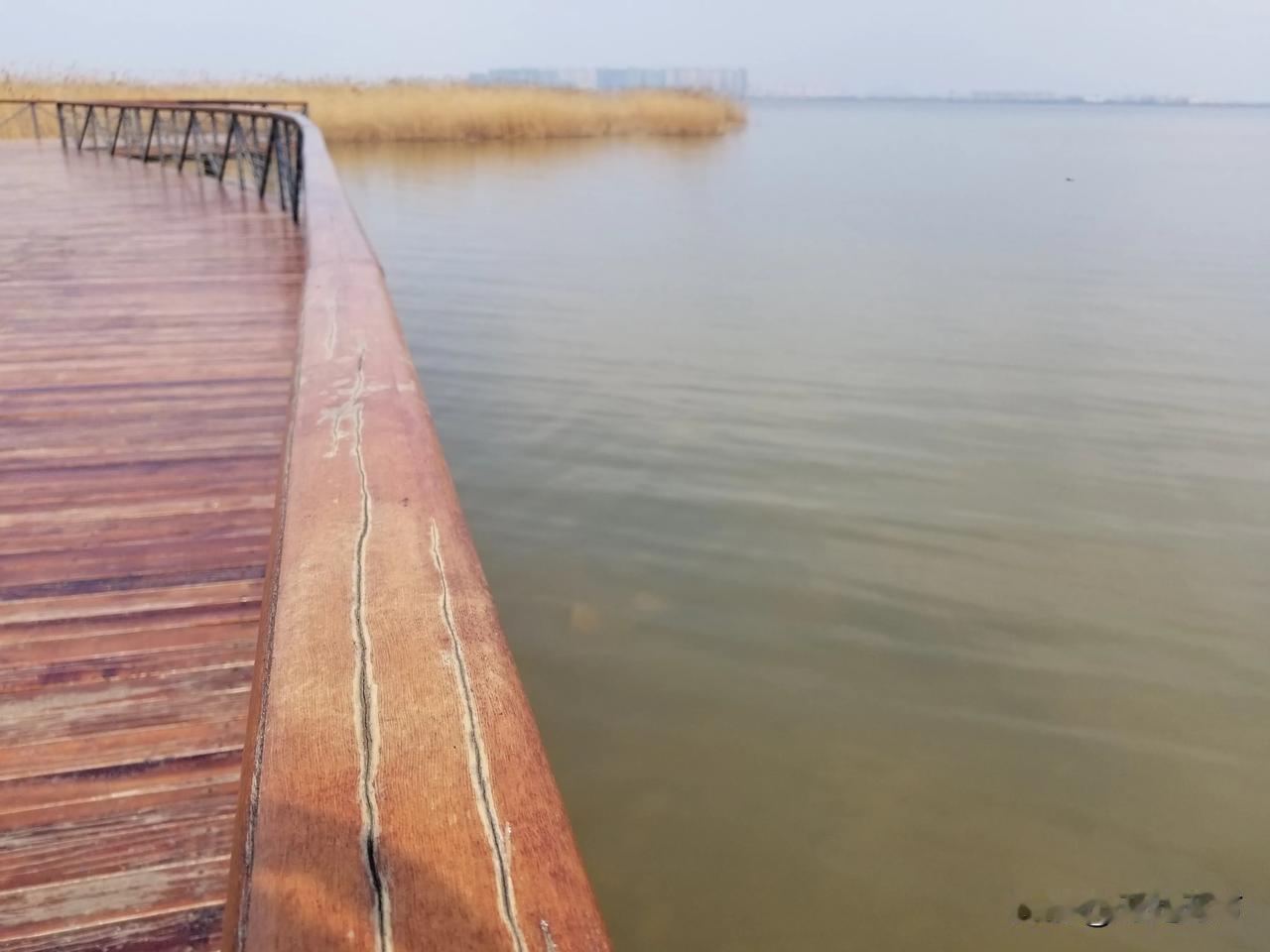 在这纷繁复杂、节奏紧凑的时代，我们仿佛被无形的丝线牵扯着，活在当下，诸多事务身不