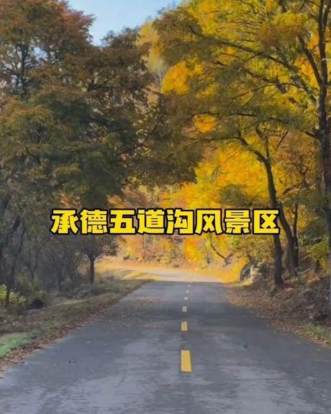 追着红叶去旅行旅行推荐官旅行推荐最美的风景在路上带着汉服去旅行我拍到的治愈系风景