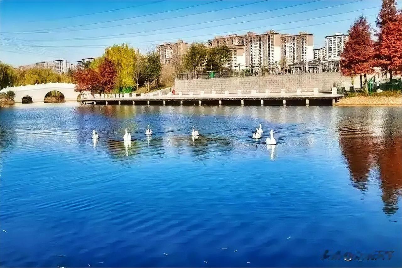 今年的冬天，和往年真的不一样了！
走在街头，我发现了一个很有意思的变化，相信很多