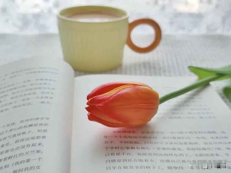 人生真正的价值是个值得深思的话题。很多人追逐财富、名利、成功，可到生命尽头，会发