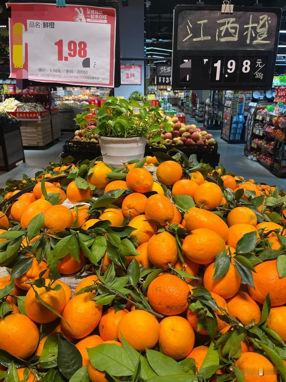 今年的橙子是不是大丰收啊
网络各大直播间
都在白菜价处理，
朋友圈也有好多朋友