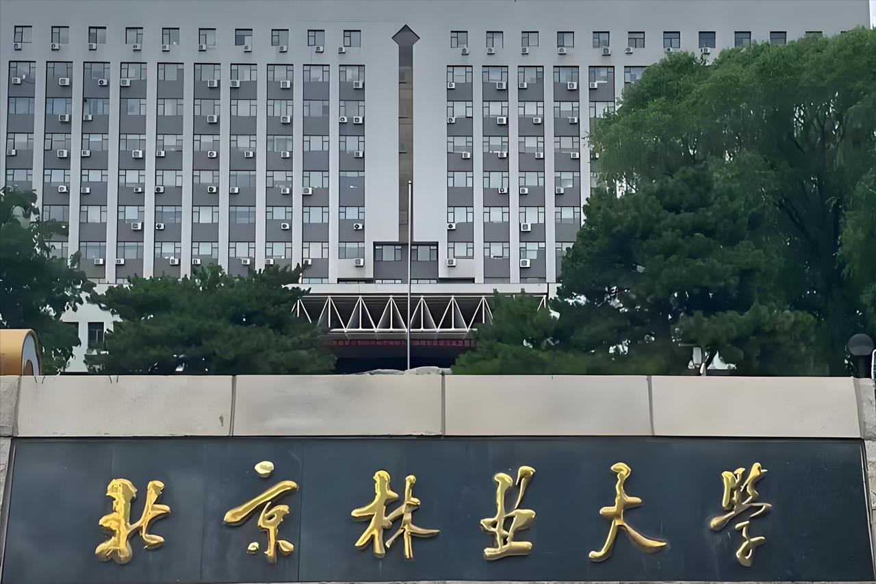 国家专项爆冷！413分捡漏211，低分上名校的机会真的来了

2026年广西本科