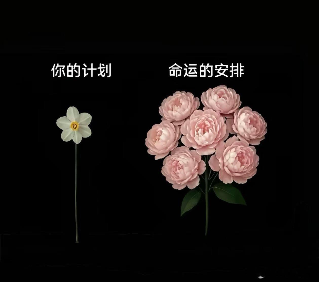郝熠然 hyr资生堂悦薇水乳大使郝熠然 你机关算尽，不如命运轻描一笔，很感恩