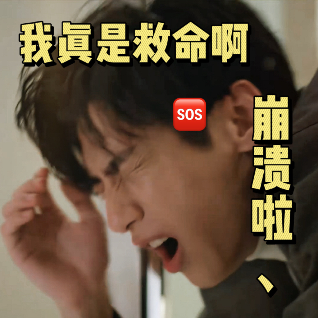 求知音、、罗云熙