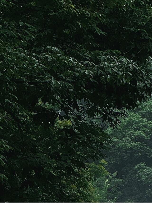 0900经历过风雨,心会变得更坚韧,擦肩而过的人,挥一挥手说声,再见。相信,最爱
