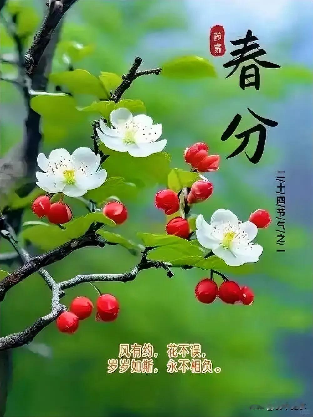 春分信笺

在昼夜的天平上
光与影达成和解
暖阳剪出燕的新羽
裁出春天半分热烈