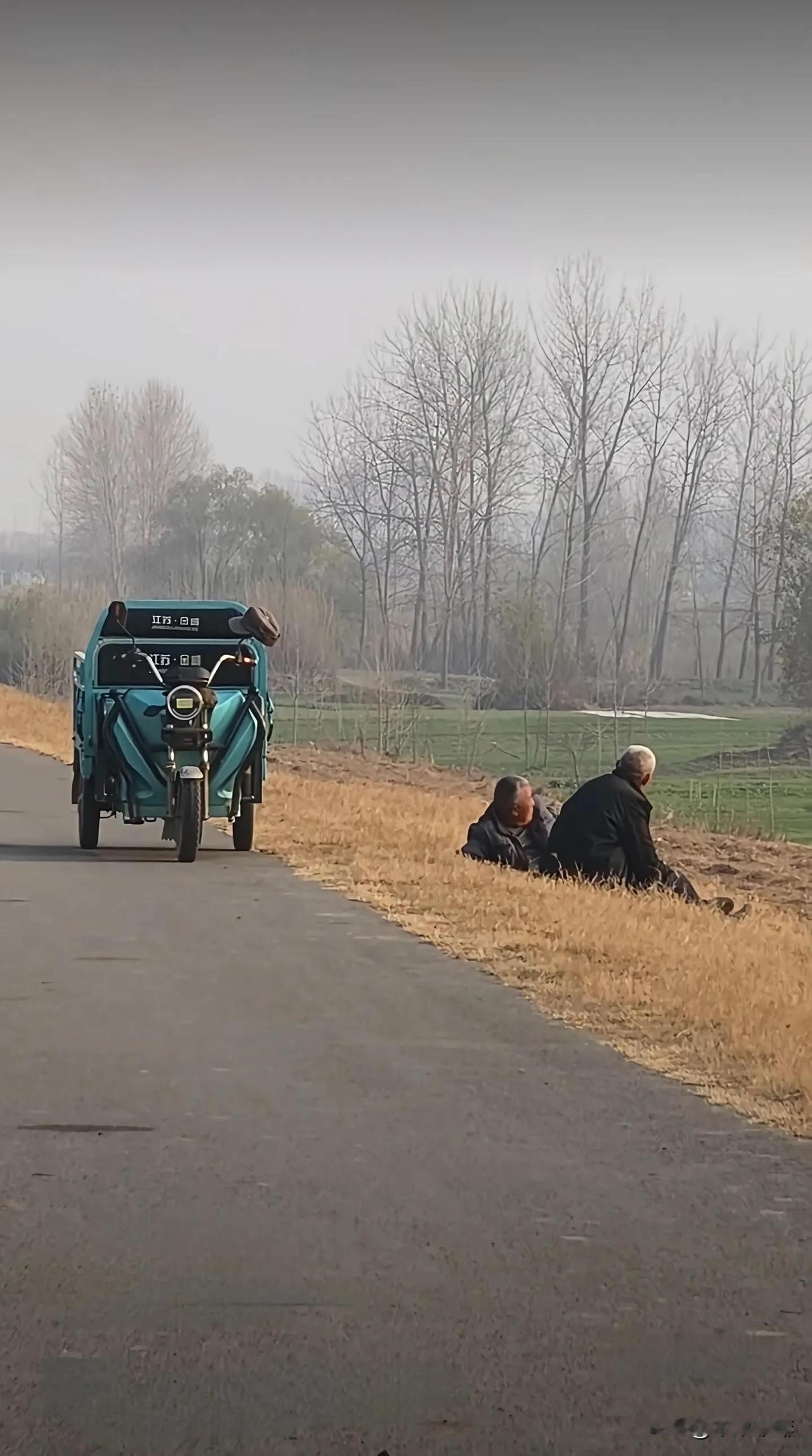 儿时玩伴今何在