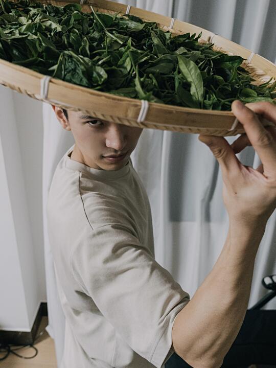 好茶一男的