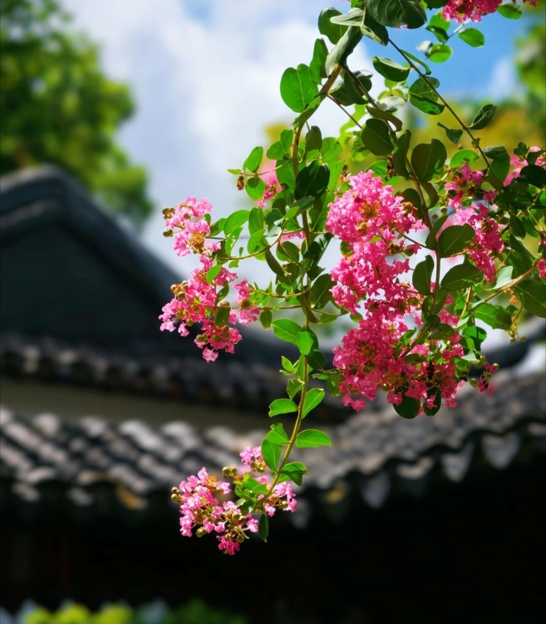 日行一善[超话]日行一善  每天多一点点的努力，不为别的，只为了日后能够多一些选