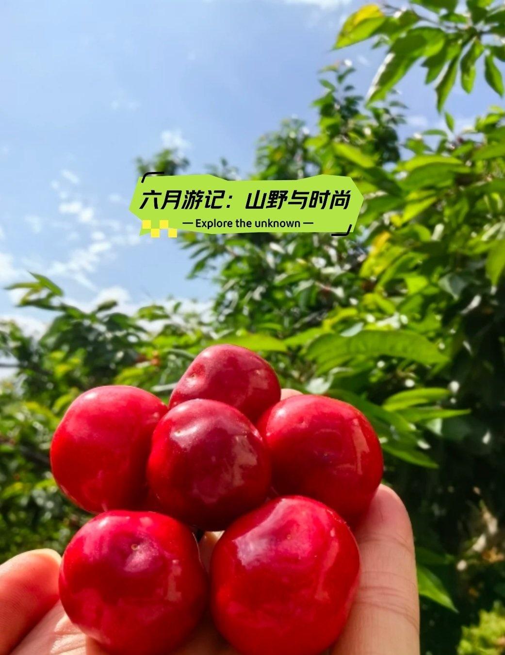 端午游记
🌄 破晓·启程
凌晨惺忪，浓咖啡硬撑。
轻信导航，甫出城即陷端午车流