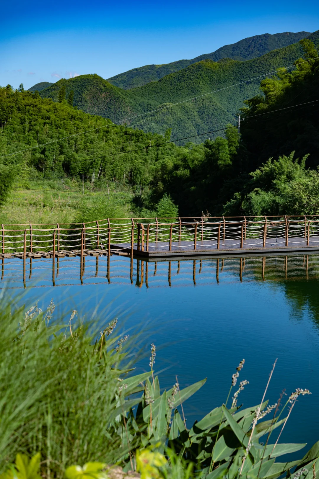 安吉真是！随便一拍！都是美景！