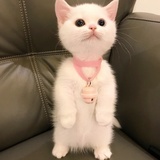小秀秀说说国内