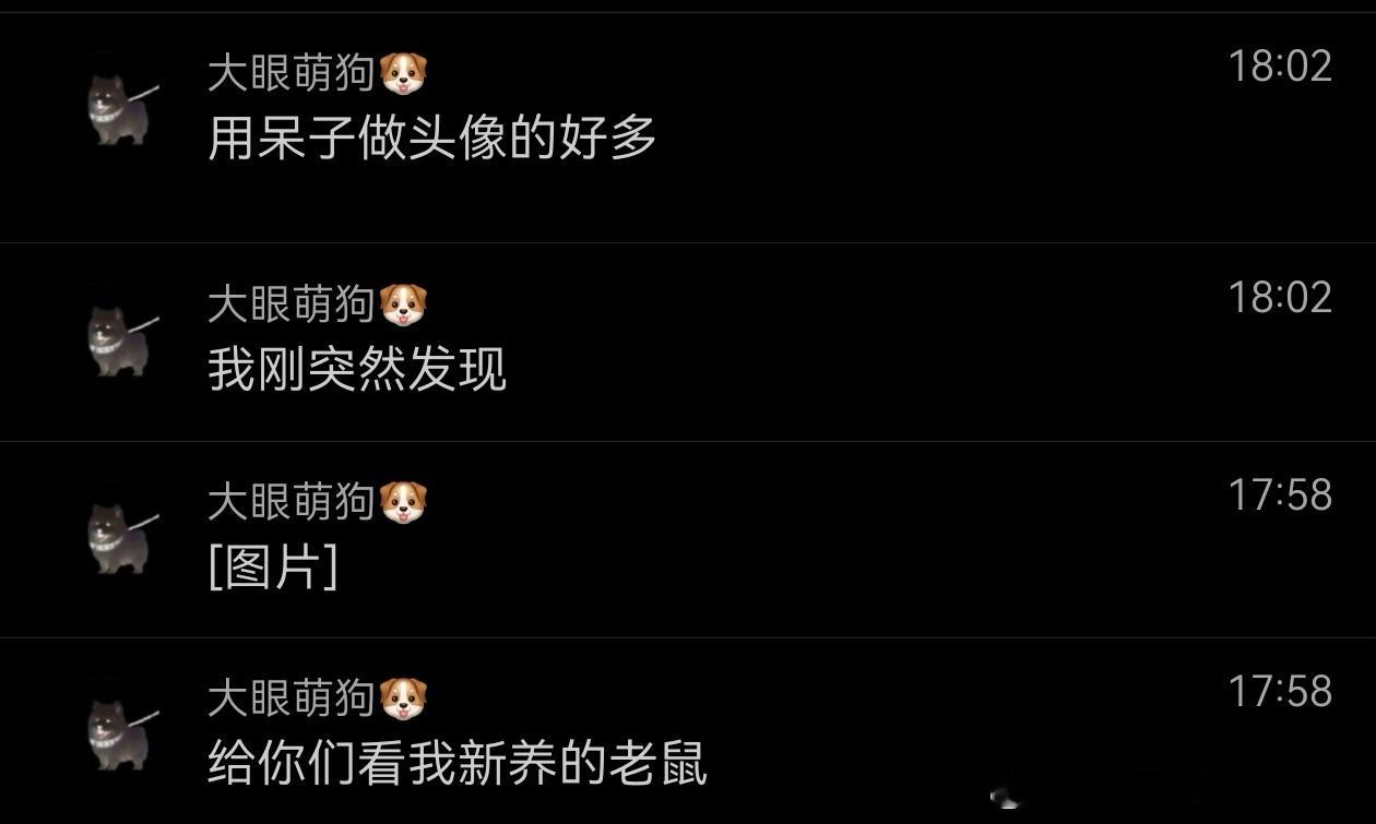 不呆 好可爱啊呆呆又要变成泡面小狗了🐶 