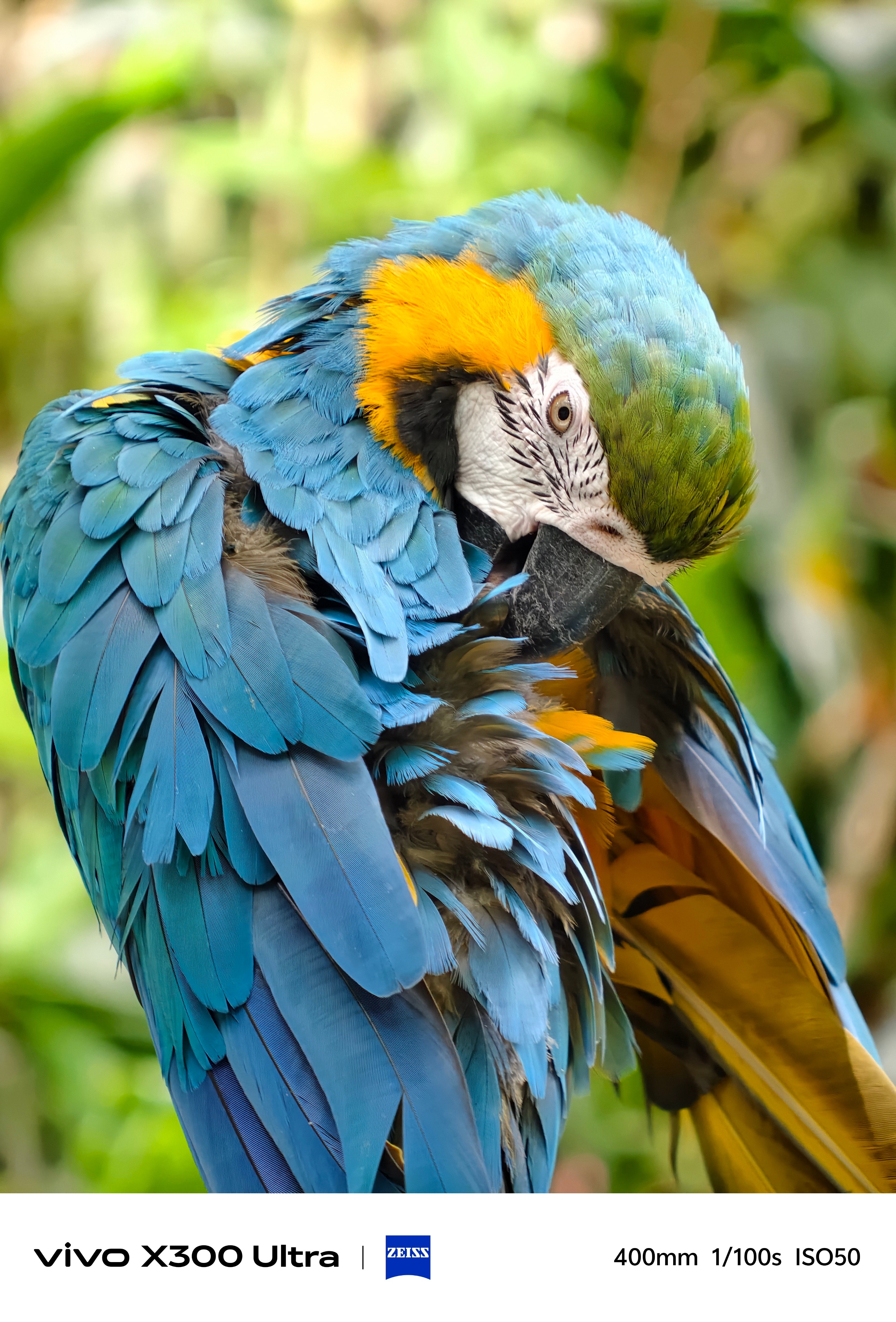 vivo的长焦已经到这个地步了吗？？？这清晰度、这色彩，能和相机掰掰手腕了