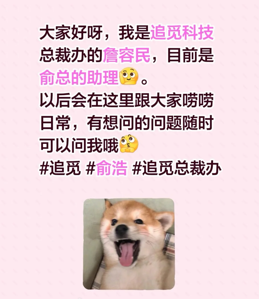 大家好呀，我是追觅科技总裁办助理