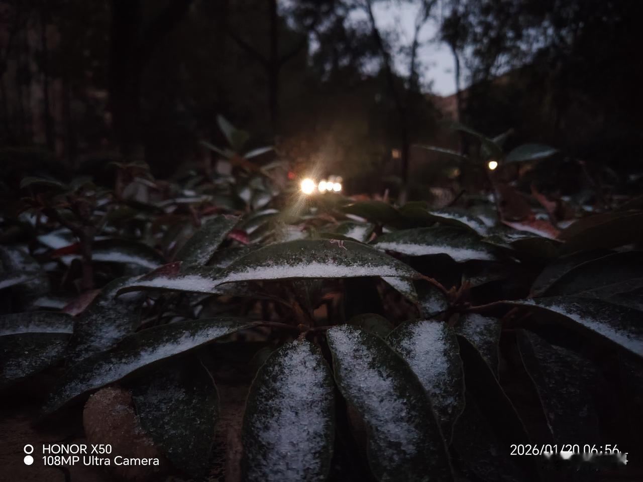 冬日生活打卡季2026年1月20日江西九江下雪了