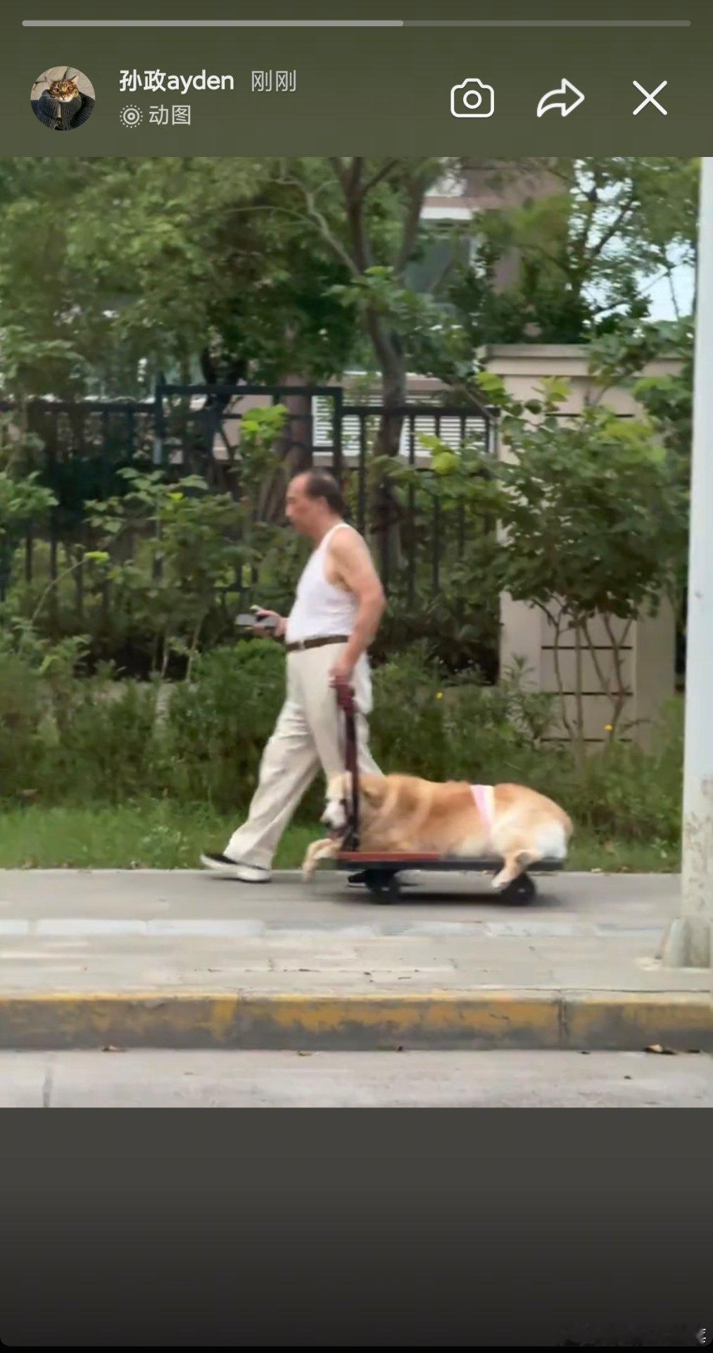 这啥呀 