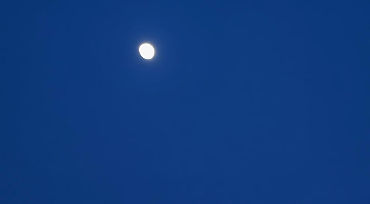 今天是世界孤独症日

一起搭把手，帮助孤独症群体 ，一个微笑、一次耐心对待、一句