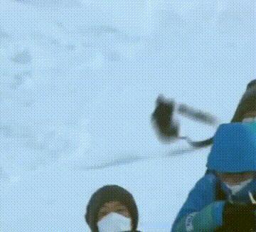 现在入场的是索尼代表团运动员一名参加高山滑雪项目！！！#一场奥运能带火多少小众运