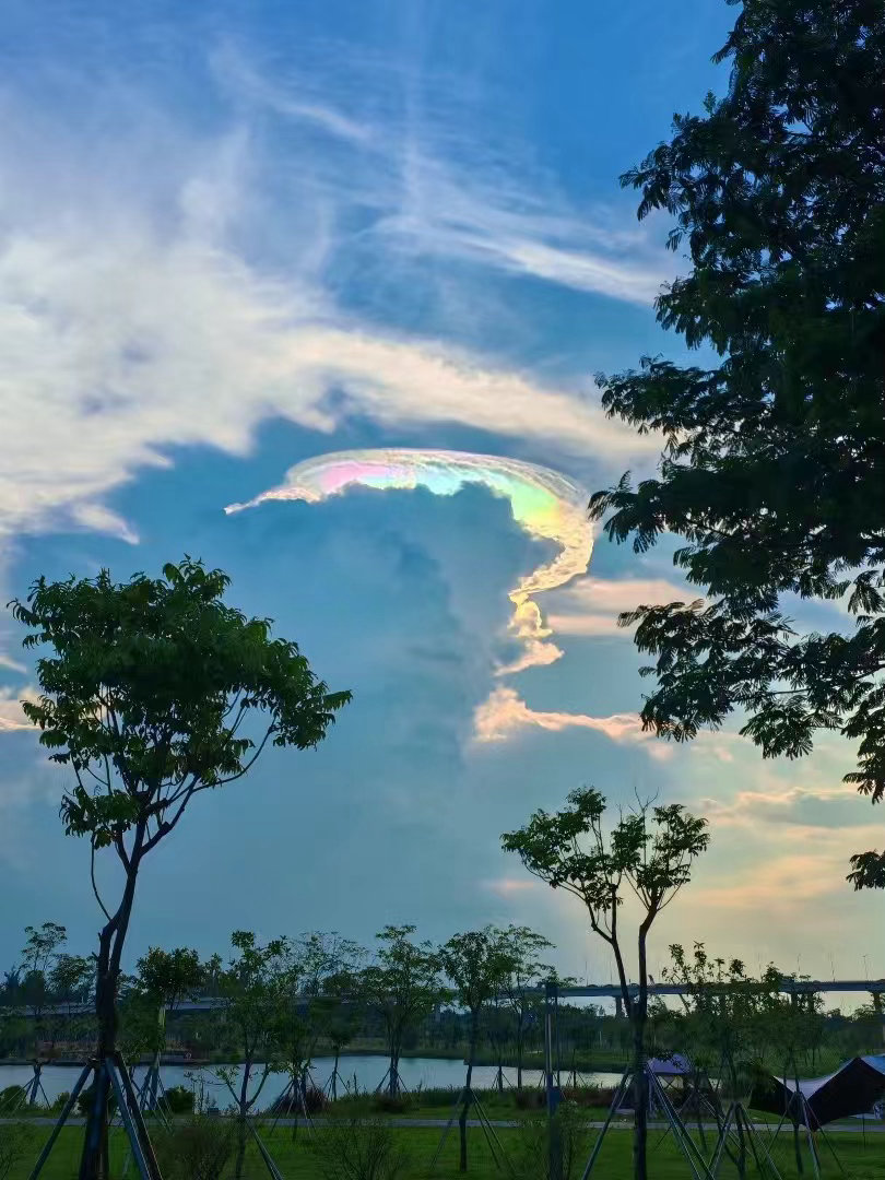 “真诚才是这个世界上最高级的情商很多人说的情商高无非就是虚伪、圆滑、说假话没有原