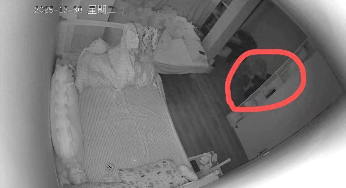 浙江金华，一育儿嫂抱着9个月的男婴进房哄睡，关上门，熄了灯，身影隐入角落。片刻后