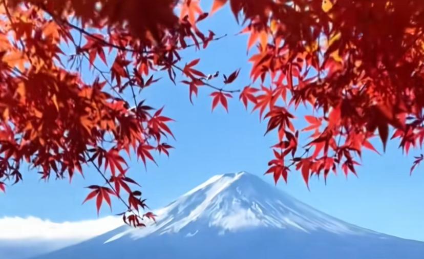 都说娶妻娶闲
一个好女人旺三代
可惜我命苦
遇到的是一个恶婆婆
真的是毁三代
