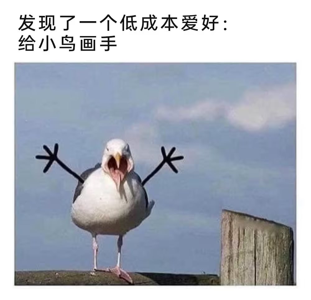 好玩 