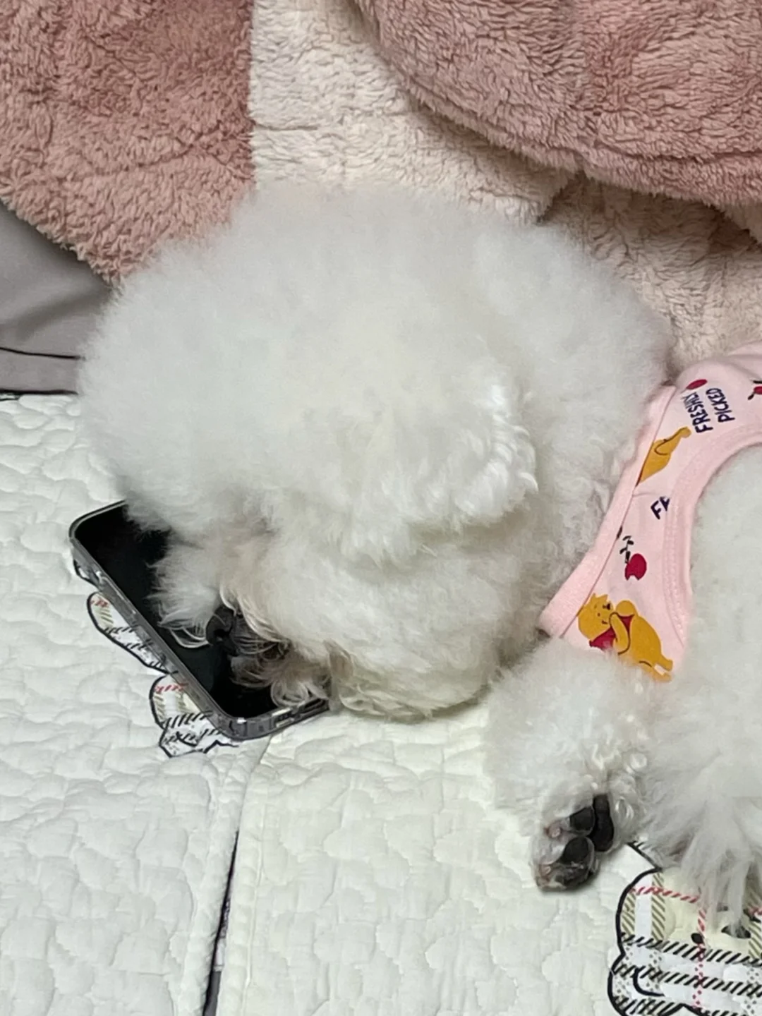 喂 妈妈 你什么时候回家