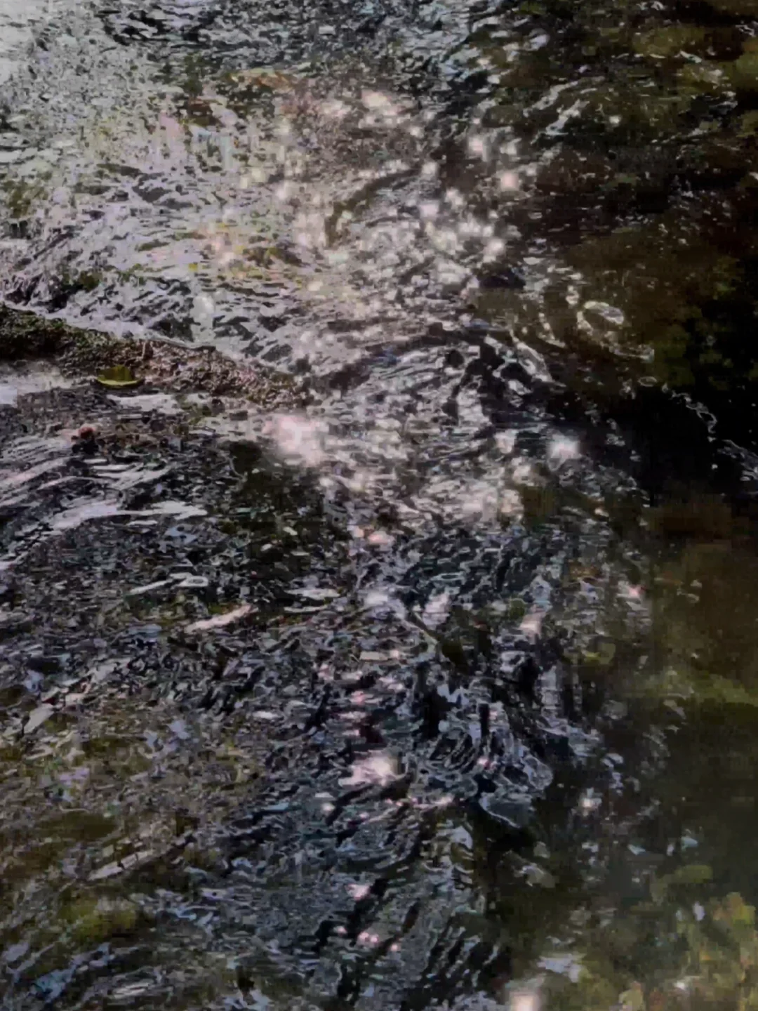 溪水河流