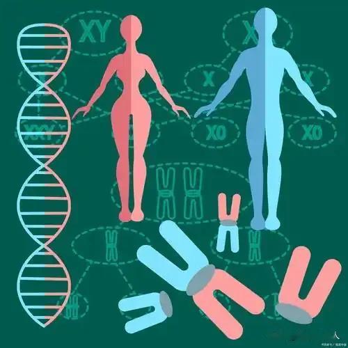一位生物学家说：
永远不要低估基因的强大。
孩子长大后，尤其是男孩，
会在行为上