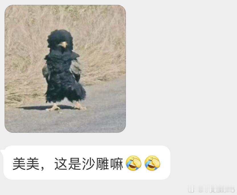 背手手的【短尾雕】 ​​​