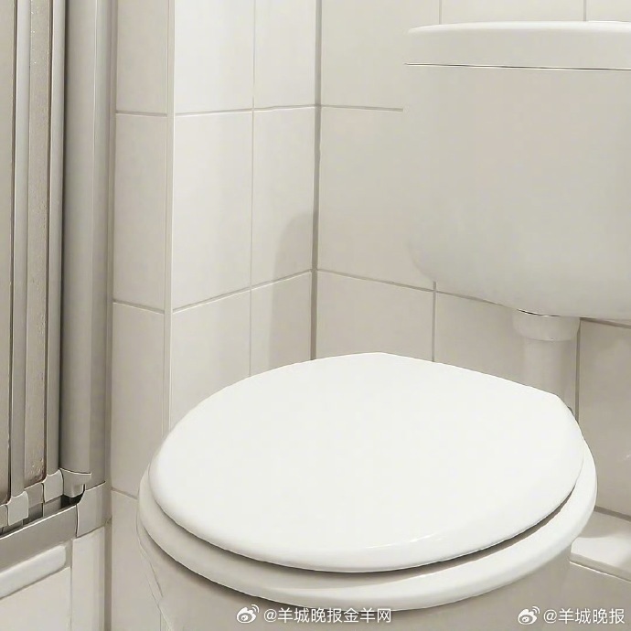 #男子称公厕马桶水箱好用先后偷4个##男子偷4个公厕水箱被刑拘# 广州黄埔一男子