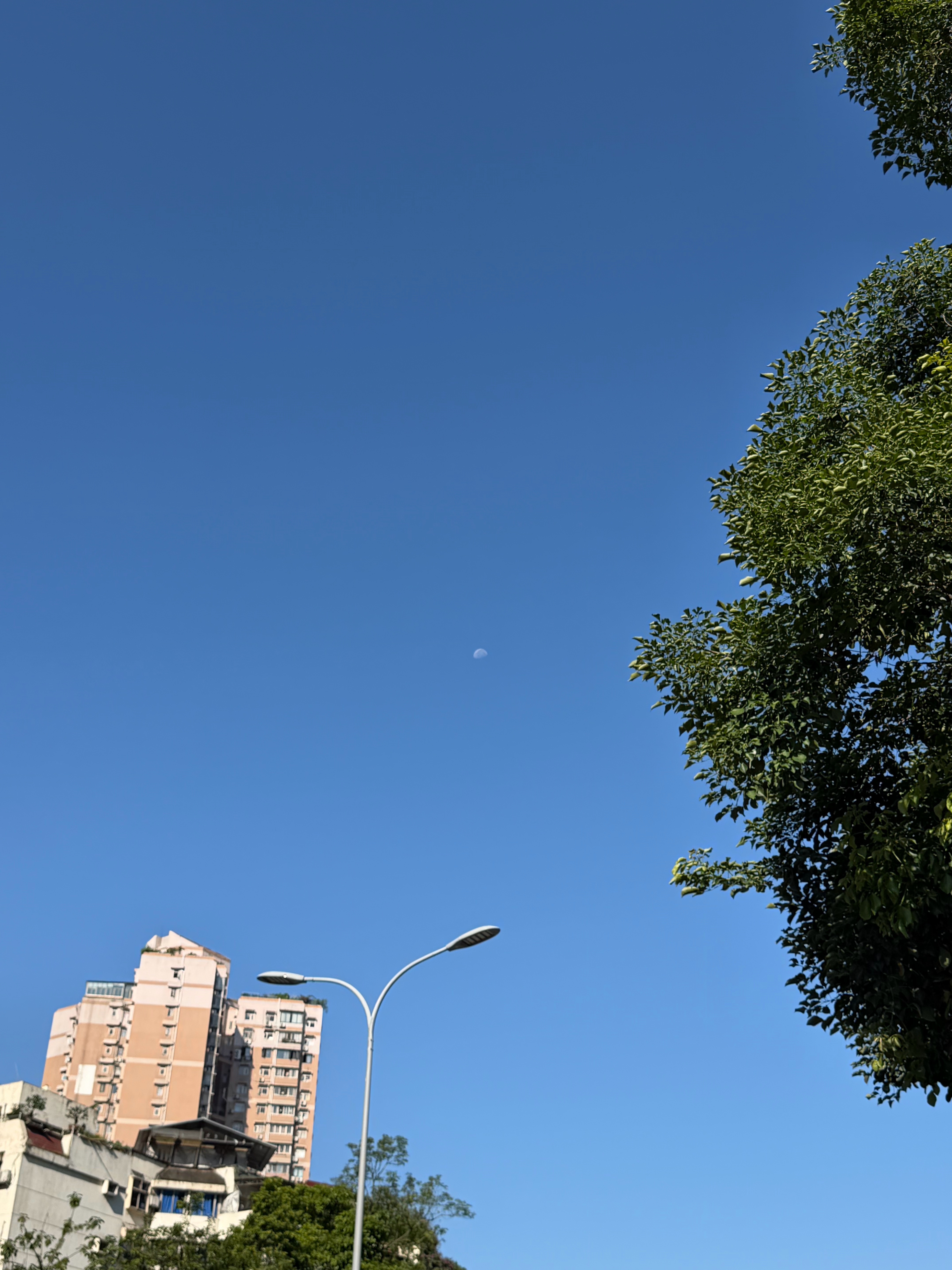这会月亮居然还在上面挂着 