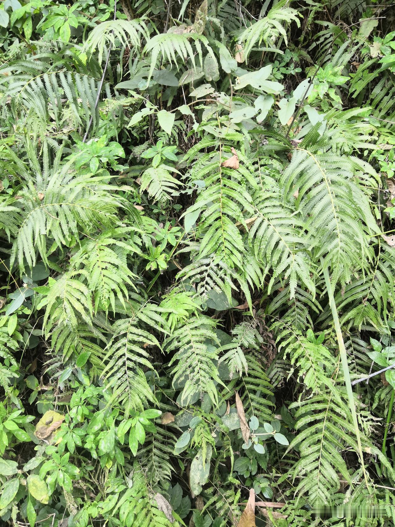 都是普通人，当然能够接受地地道道的农民朴素，真诚，做任何事情都是善良的普通人，他