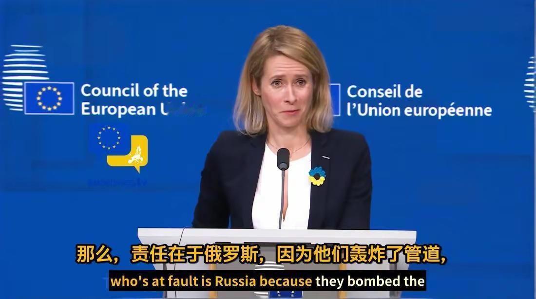 欧盟外长卡拉斯谈及乌克兰切断俄罗斯通往匈牙利和斯洛伐克的输油管道时表示：“责任在