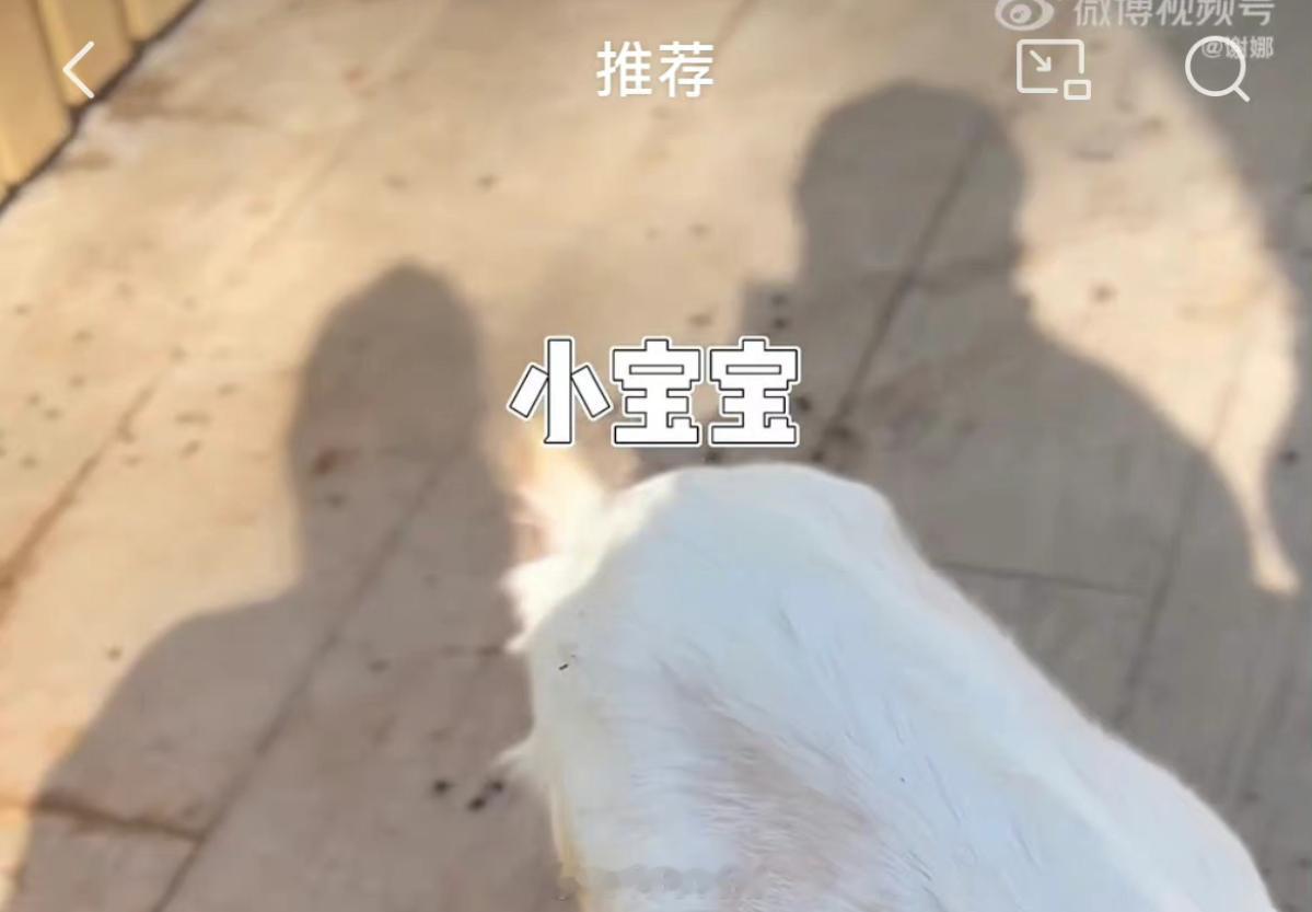 饿到只能翻爸妈的影子解馋 