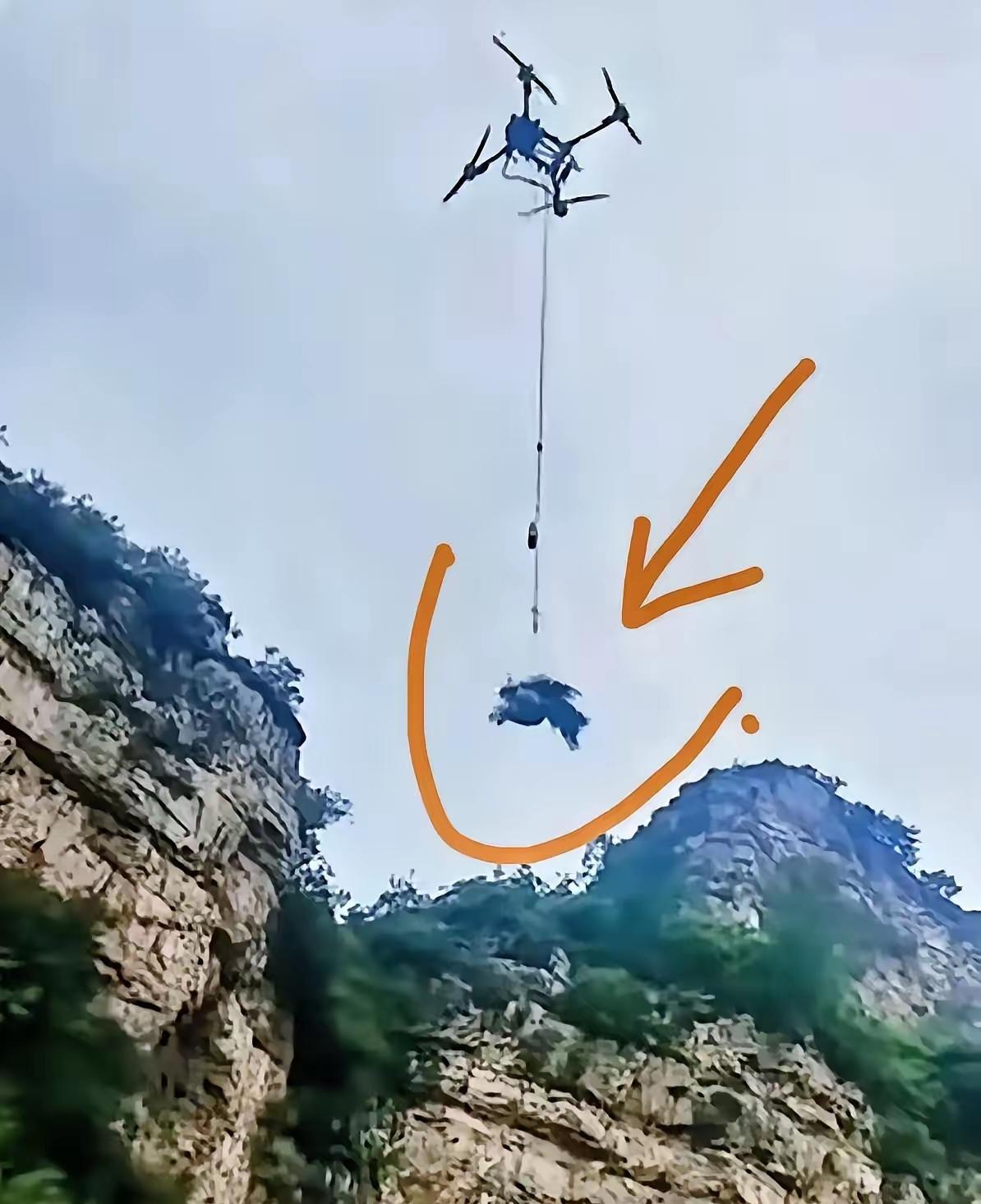 年轻女子程梦园在陡峭深山失联，牵动着无数人的心。救援队冒死搜寻，最终在险峻悬崖下