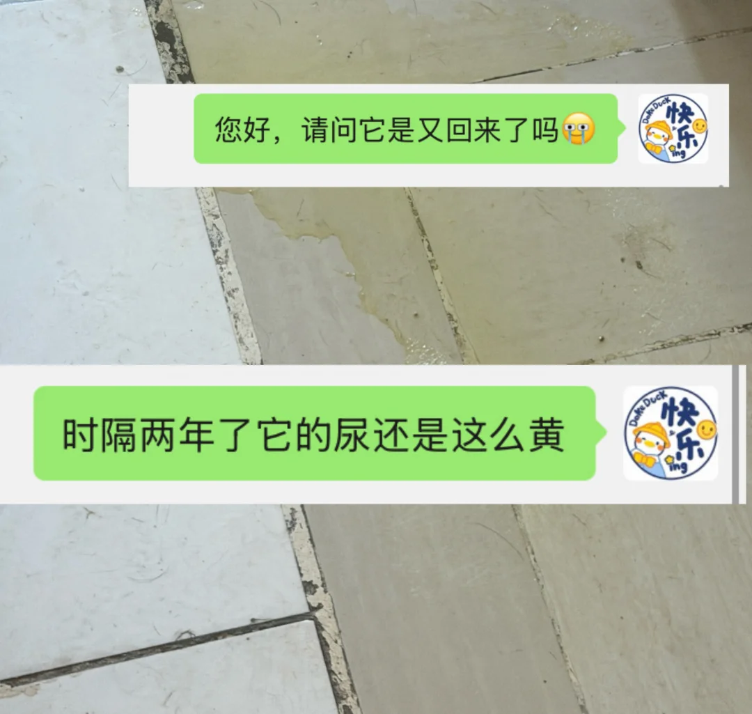 这狗太记仇了😭三年了还在报仇😭