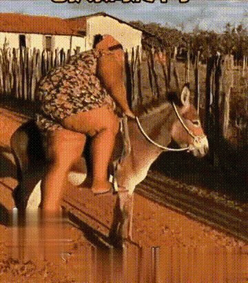 太重了！[发怒]
我是驴，但力量也有限！

胖大姐遇见小毛驴，眼看就要骑上去了，