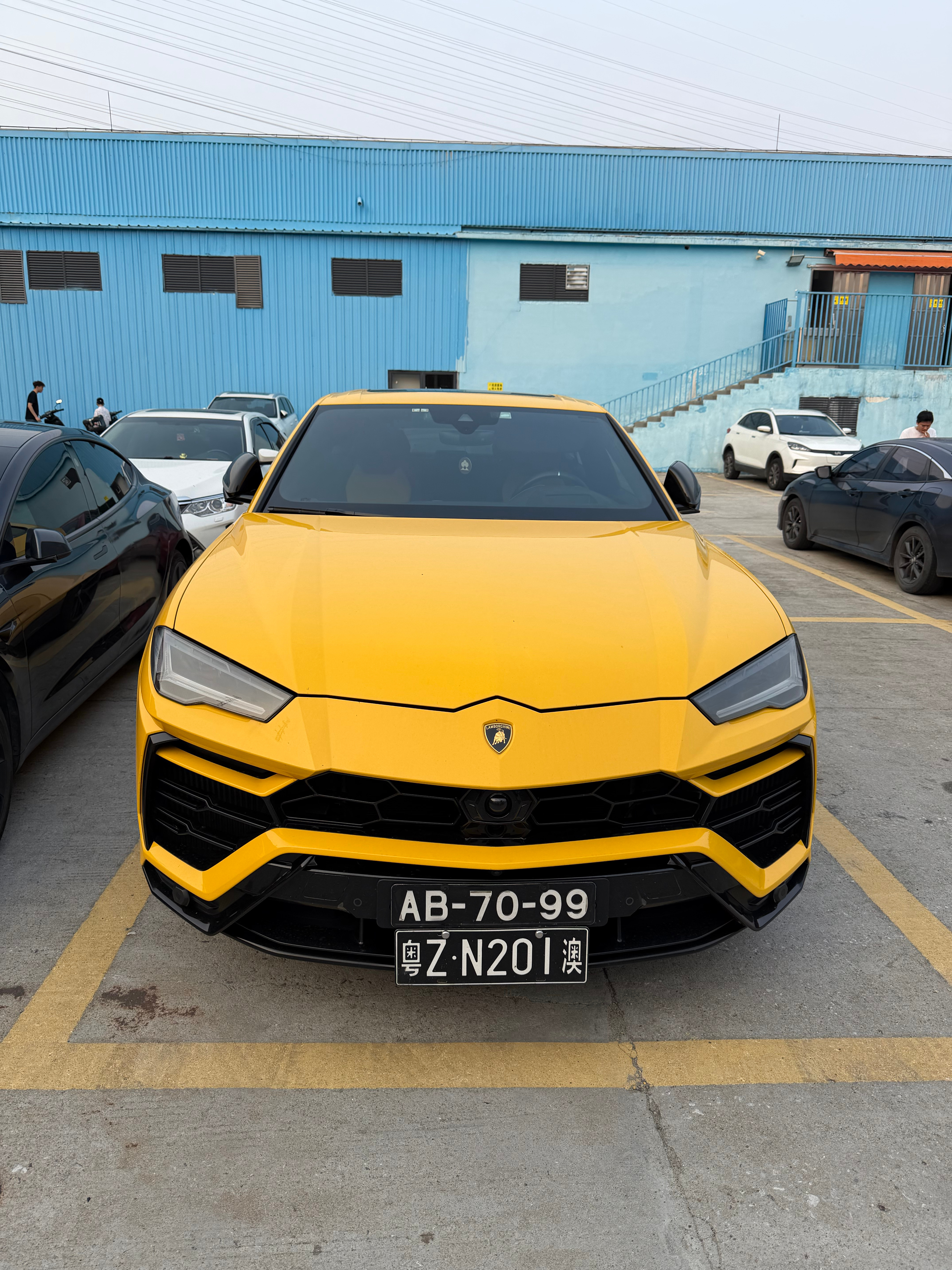 好啊！真的好！没有理由到那种好 广州·达洋体育中心