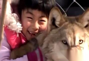 记者问她，认不认识那头带领救援队走出山火的狼王。
她愣了很久，只问了一句：
“那