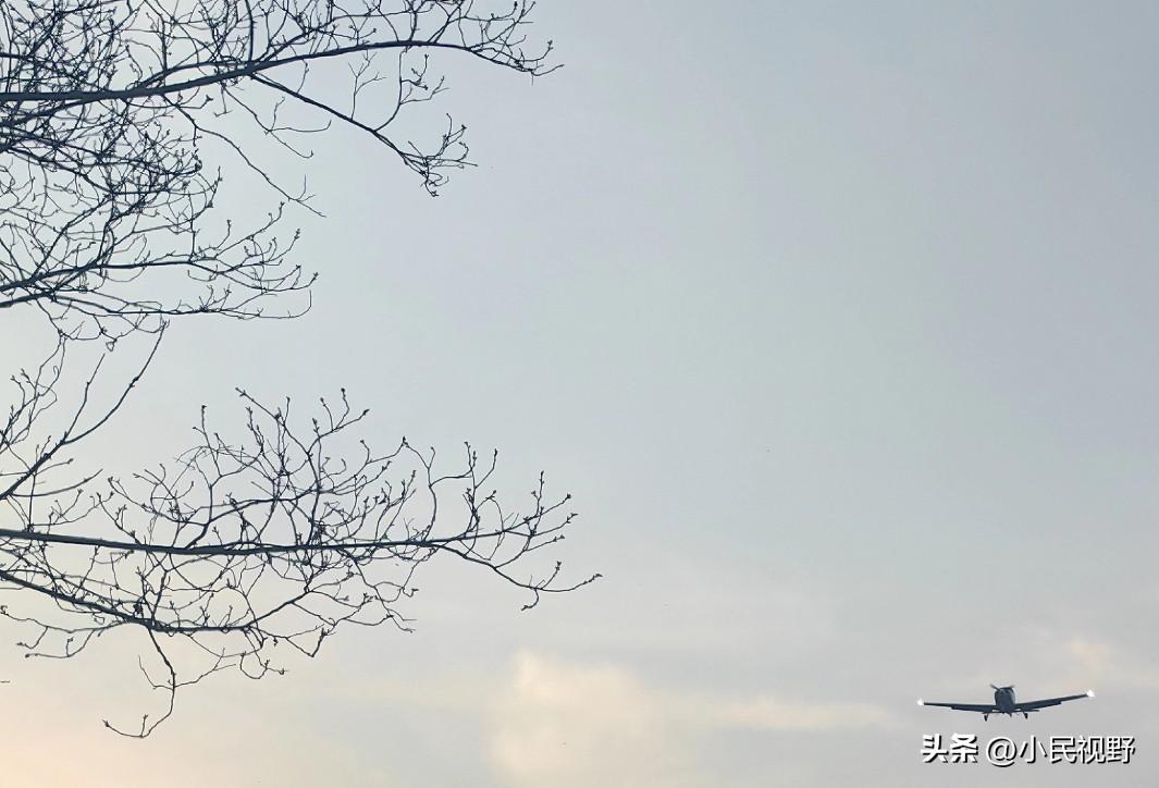 取消年休假分段休，需一次性休完，若分段休，以每次休5天为例，加上双休共9天；年休