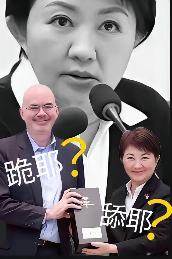邱毅教授提议台中市长卢秀燕在年底卸任后前往中国大陆访问。

卢秀燕年底就要卸任台