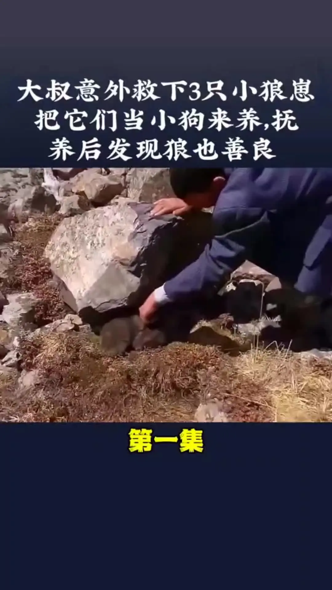 动物世界 我的观影报告